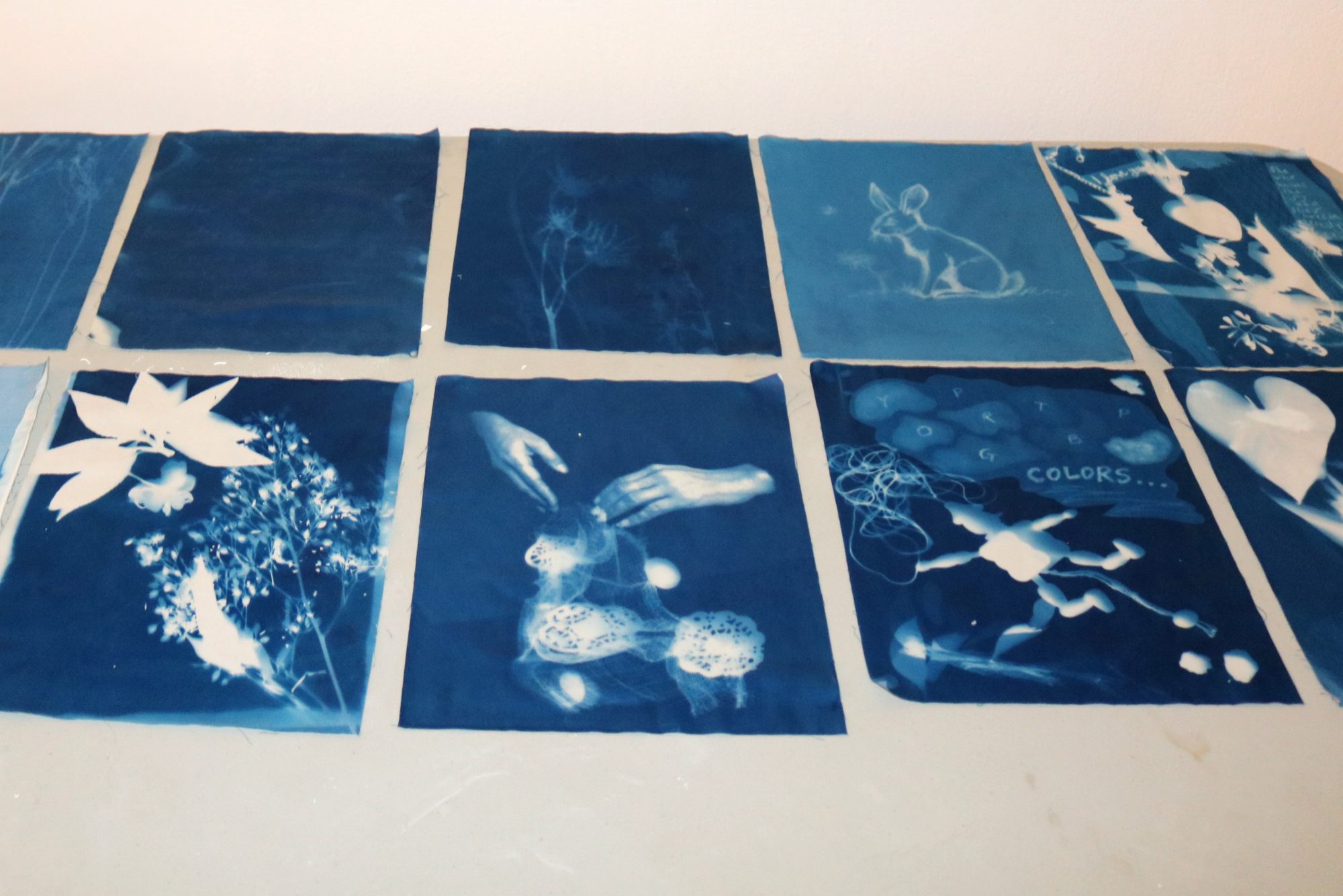 Cyanotype International Arts & Artists
