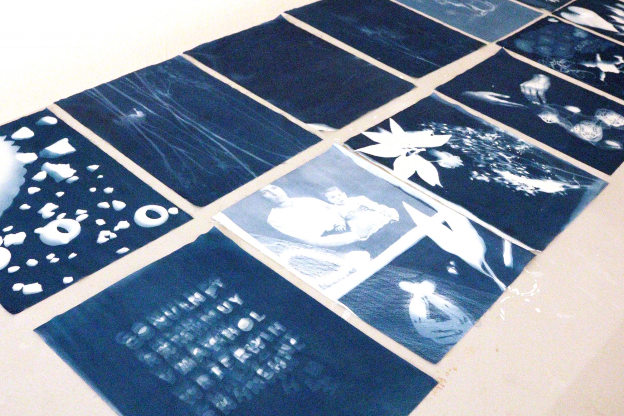 Cyanotype International Arts & Artists